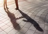 Особая связь: как строятся отношения психолога и клиента